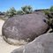 Indian Petroglyphs