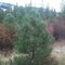 Random view