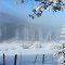 Frosty morning near New Meadows, Idaho