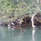 bird island kilifi creek