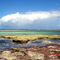 Kilifi sea front