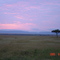 Kenya, Masai Mara