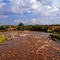 Mara River