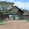Masi Mara