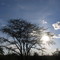 sunset_Maasai Mara NR, Kenya