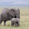 Masai Mara