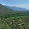 Irrigated agriculture at the mouth of Weiwei Valley, Pokot