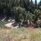 Camp Site #2