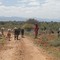 Maasai herdsman, Mpala Ranch (Rumuruti Rd.)