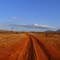 red and blue Tsavo