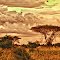 Tsavo East NP