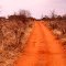 Ngutuni Wildlife Conservancy, Kenya