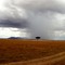 massai mara