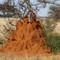 Termietenheuvel bij Maralal Kenya
