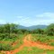 African view - Paysage africain
