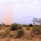 Tempête de sable dans la savane - Sandstorm in the savanna