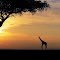 Sunset Tsavo West Kenya