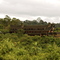 The Ark, Aberdare National Park
