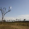 Paisaje en Aberdares