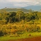 Alrededores del Treetops (Montes Aberdares)