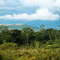 Monte Kenya tras las nubes (Treetops)