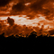 Tormenta en el Treetops (Montes Aberdares)