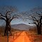 Tsavo-West, Kenia....Winner of SPC42