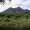 Tsavo west