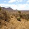 Ngulia Hills, Tsavo West