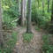 Robious Landing Park