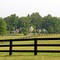 Country Estate.