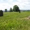 Old Unmarked Childrens Gravestones