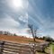 Fence, Tree, and Sun