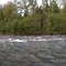 Cedar Creek Hatchery, Sandy River, OR