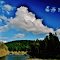 Shark in the Sky...:)