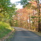 Roanoke Mountain Loop