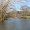 Wasena Park Roanoke