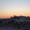 Monahans Sand Dunes Sunset