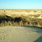 Monahans Sandhills State Park
