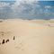 Dunes in Monahans Sandhills State Park, Monahans TX.