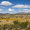 Chihuahuan desert