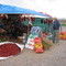 New Mexico