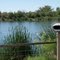 Viewing binoculars