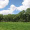 Mary Cabot Wheelwright Estate Landscape