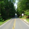 US 60 Tunnel of Trees