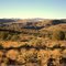 Mesa Tops