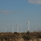 Windmill Farm. North of Vega, Texas