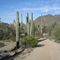 Butterfield Trail