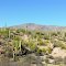 Tonto National Forest