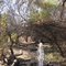Artisian well on River Road, S of Mammoth, AZ